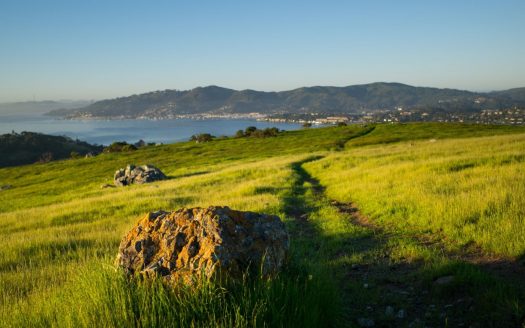 Marin Market Trends | Picture of the Bay