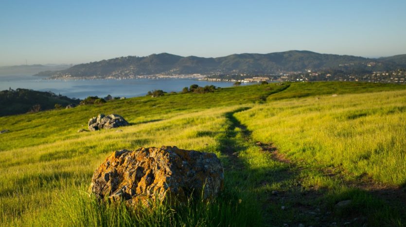 Marin Market Trends | Picture of the Bay